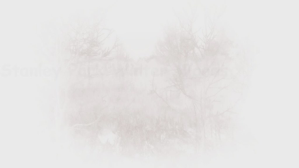 Stanley Park Conservation Area Winter Woods, Kitchener ON … Flickr