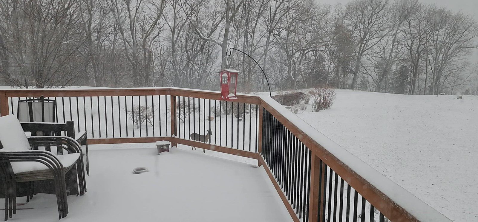 The Last Blizzard this Winter??? Flickr