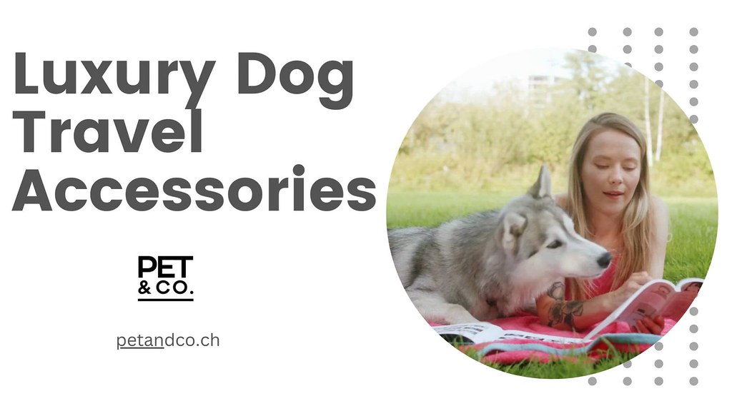 Luxury Dog Travel Accessories Do you want to give your dog… Flickr