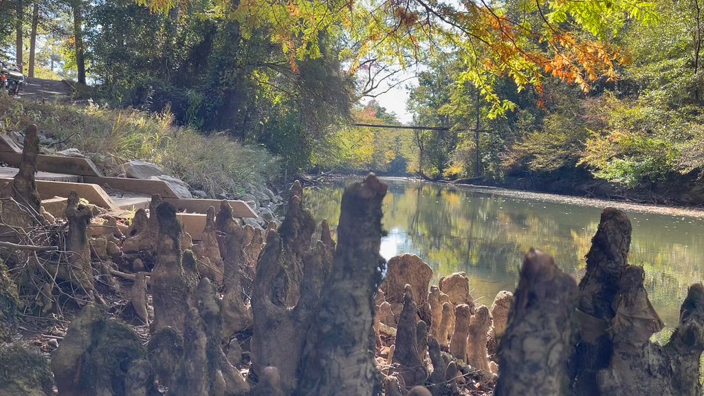 Swinging Bridge Bear Creek Tishomingo canoe landing, Cypre… Flickr