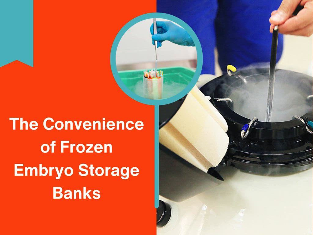 The Convenience of Frozen Embryo Storage Banks Frozen embr… Flickr