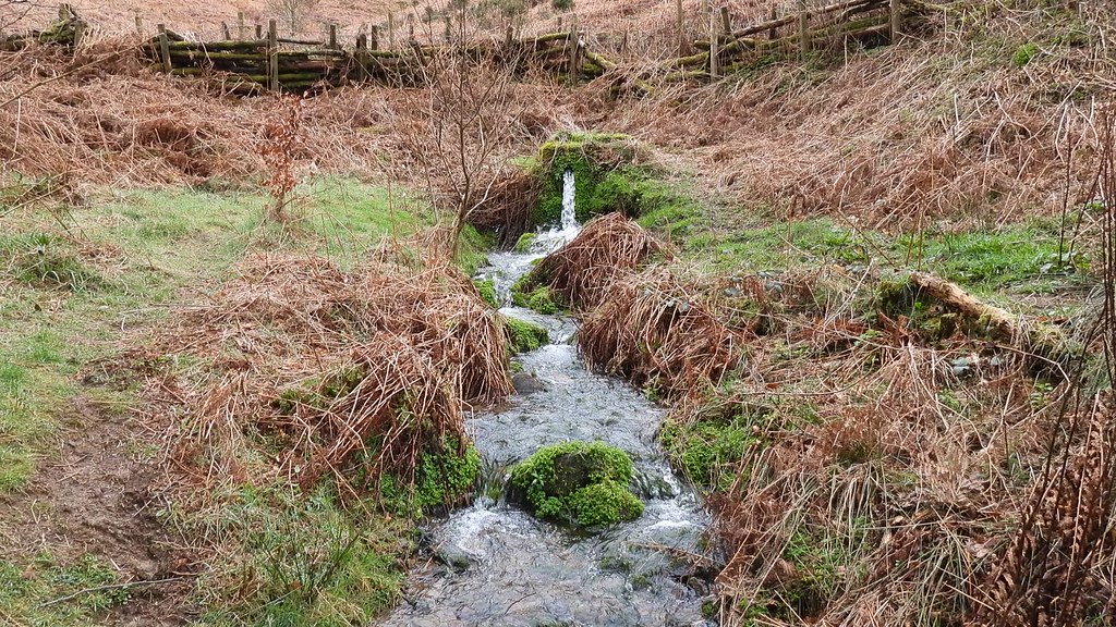 Spring, Blaen Bran Reentrant, Upper Cwmbran 20 March 2024 Flickr