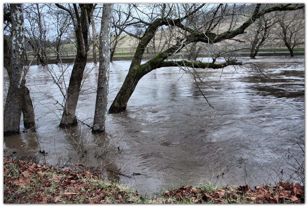 Holston River Near Flood Stage This is the North Fork of H… Flickr