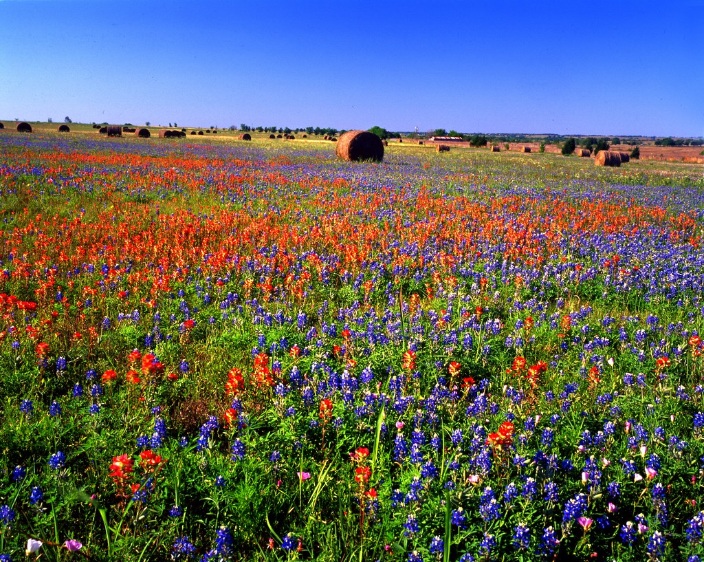 Elevation of Moravia, TX, USA Topographic Map Altitude Map