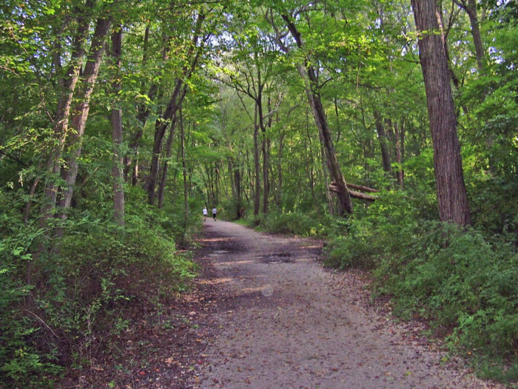 Massapequa Park preserve Massapequa, NY Morton Fox Flickr