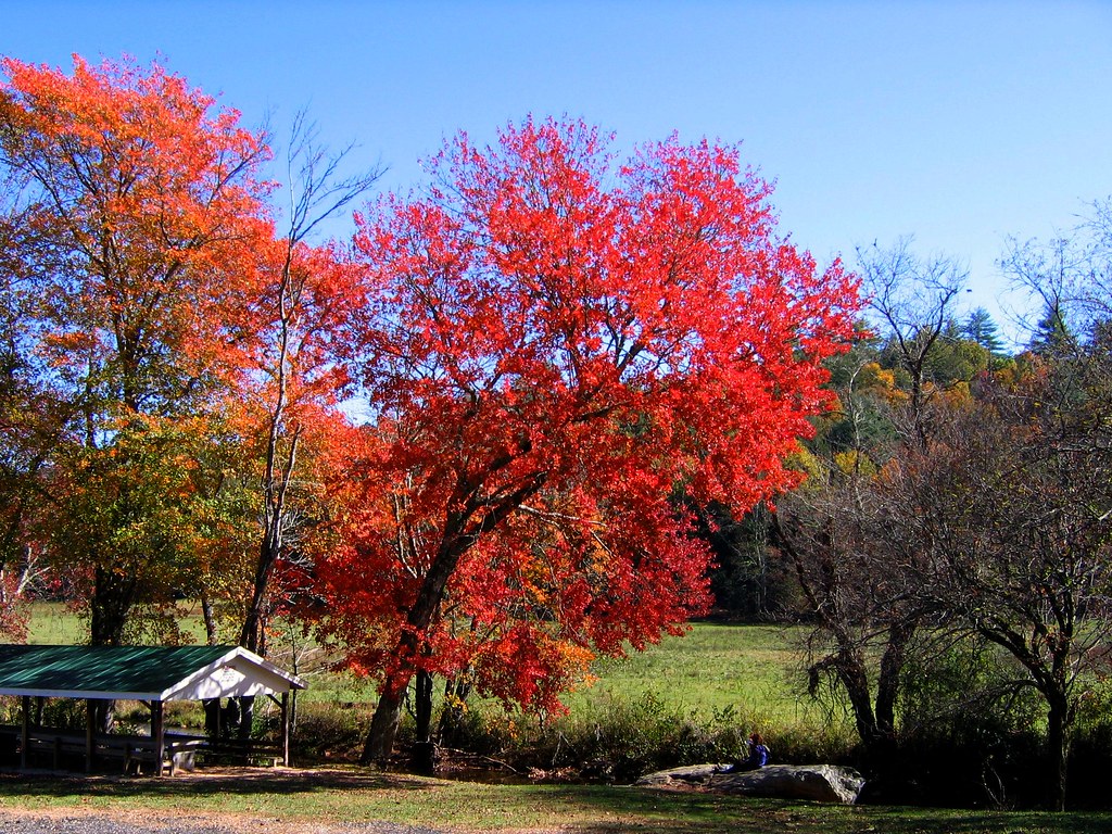 Cycling in Pleasant Valley, Union County, Another … Flickr