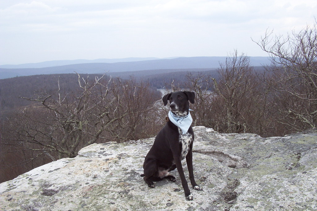 Bald Knob 2004 Jimmie Old pictures from a 2004 hike to Ba… Flickr