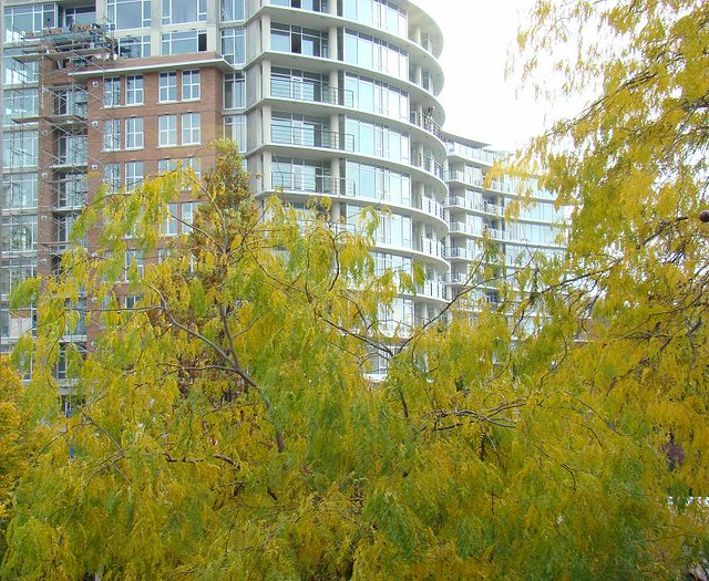 The Aria Condo's Victoria B.C. Canada thegreatscaper Flickr