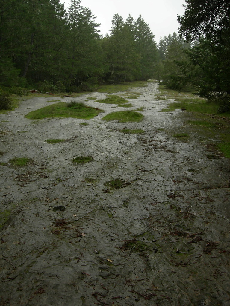 Slippery Rock For some reason it looks like it's pointing … Flickr