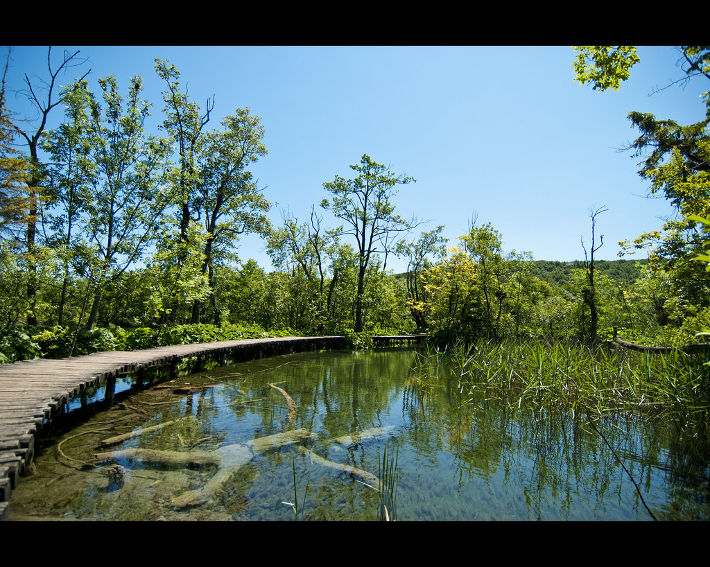 Dead man's lake steph kasam98k Flickr