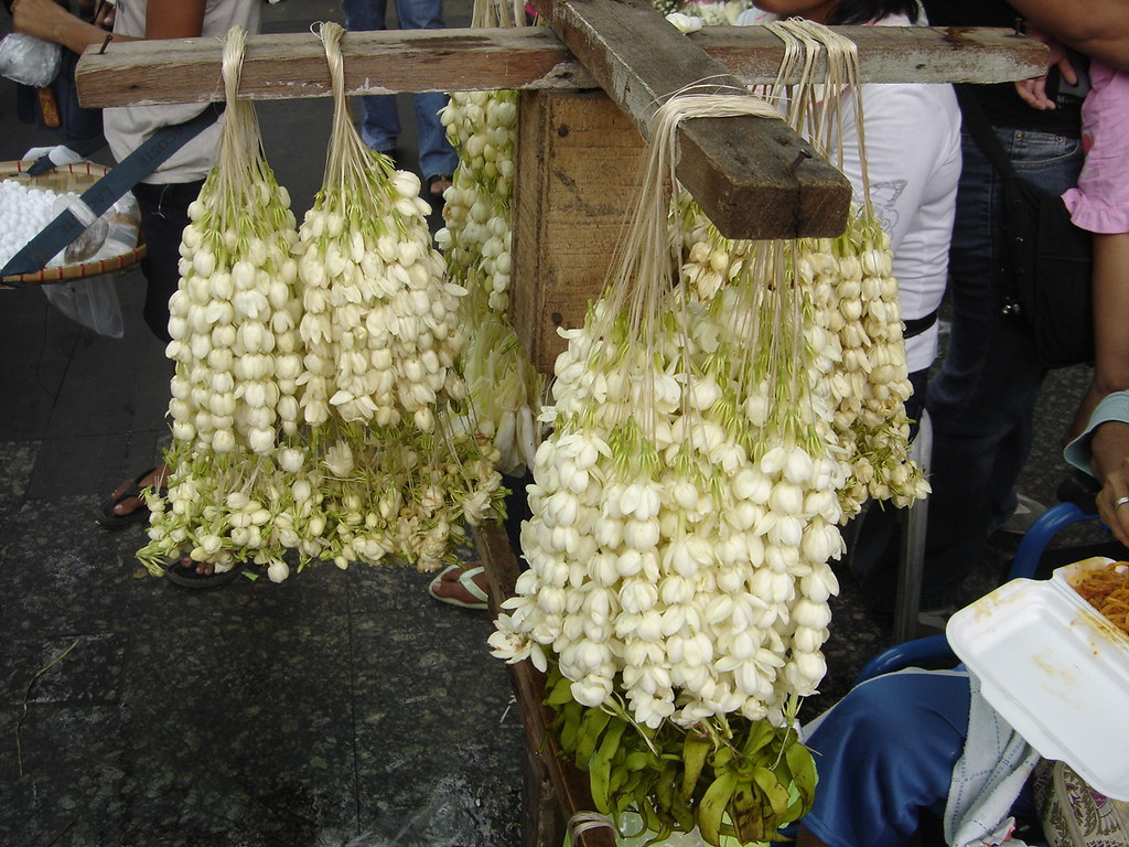 Philippine National Flower