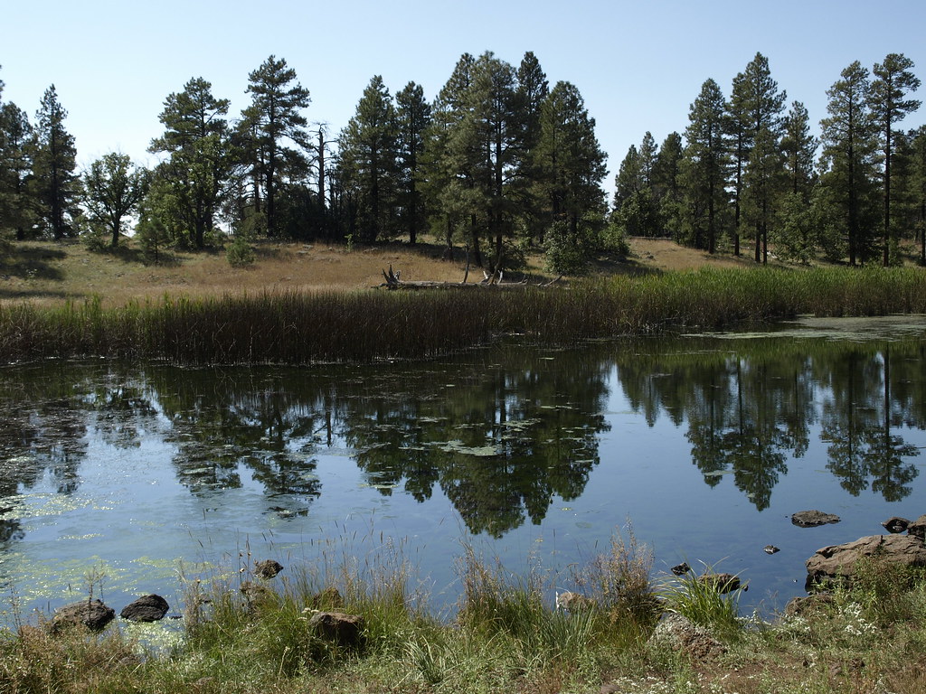 Big Springs Big Springs Environmental Study Area, Flickr