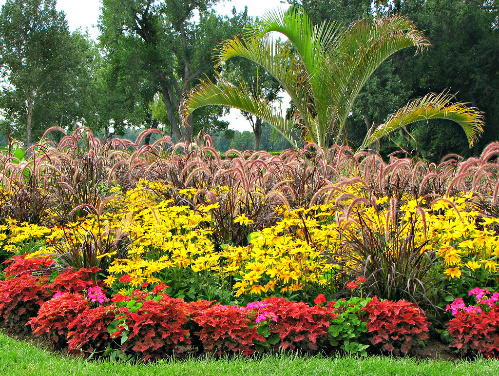 Garden Flowers Denver, Colorado Colorado Sands Flickr