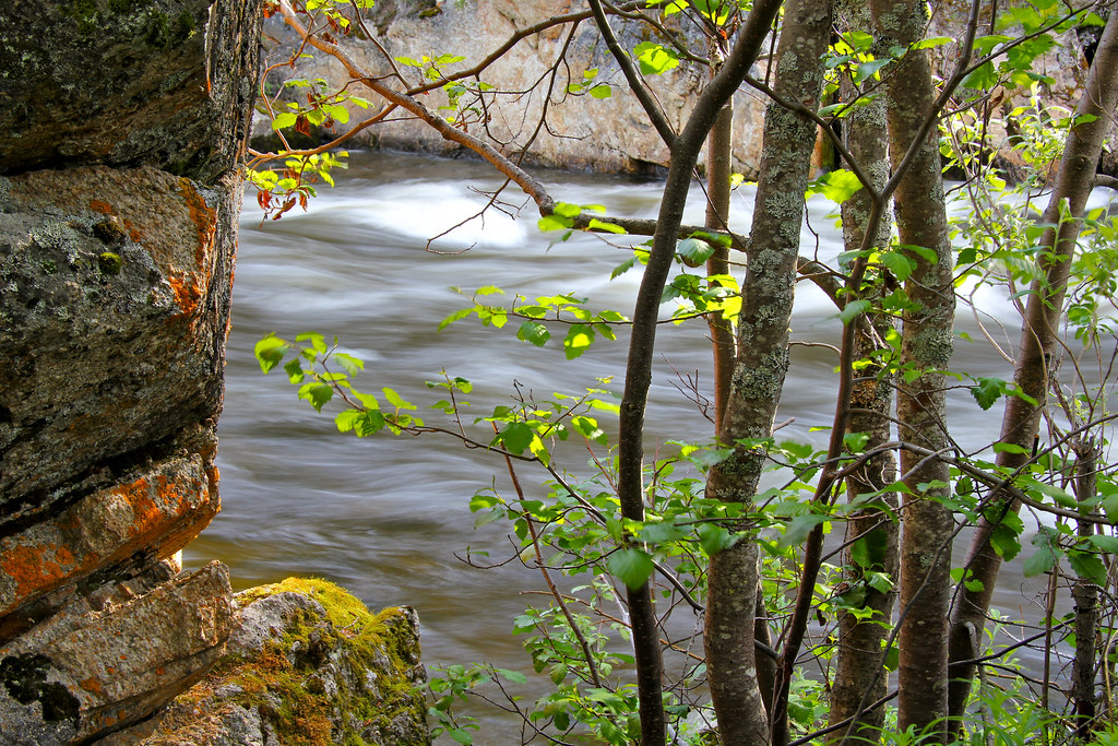 My Public Lands Roadtrip Gulkana Wild and Scenic River in… Flickr