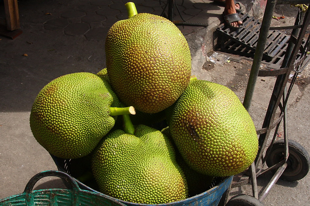 Jack Fruit, Vegetable Market, Chiang Mai, Thailand Flickr
