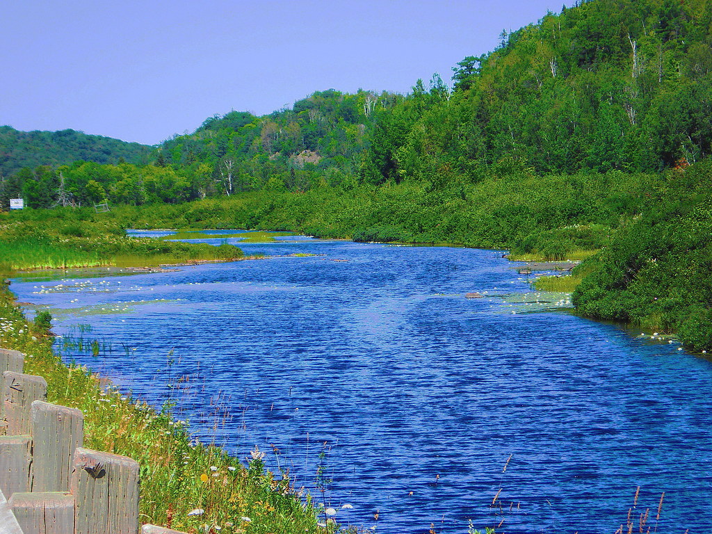 Root River This is the Root River at the Sault Ste. Marie … Flickr