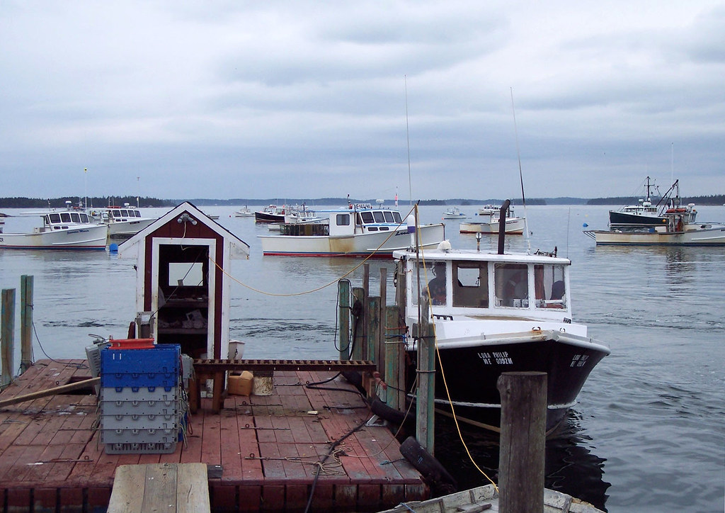 Beal's Island, Maine FH050006 Docking. Phyllis Flickr