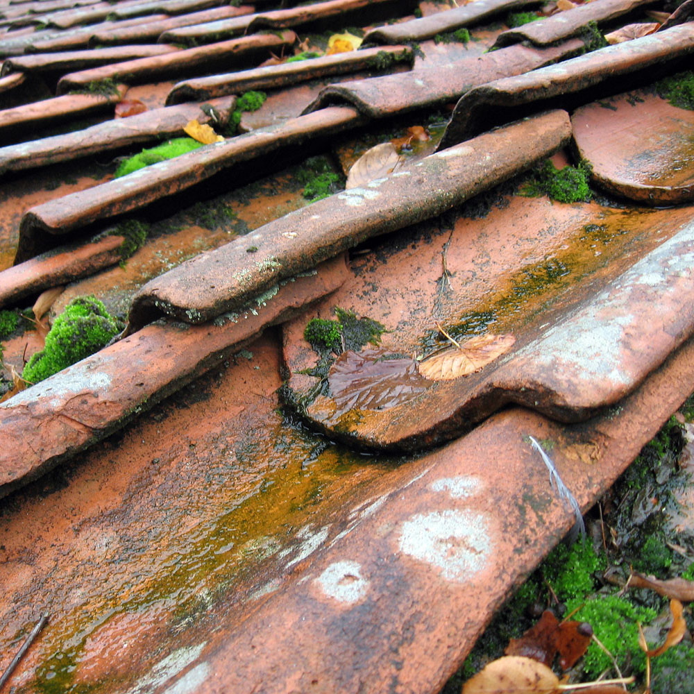 rooftiles I have photographed this old roof in Wedde, Gron… Flickr