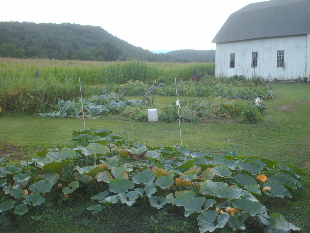 wagner farms August 9 2008 013 dbruce16947pictures Flickr