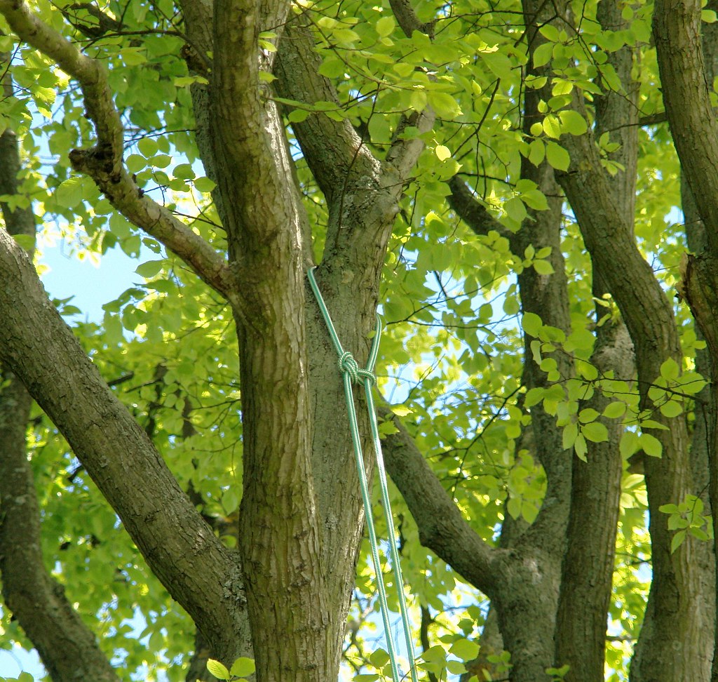 Fixed double rope anchor knot a photo on Flickriver