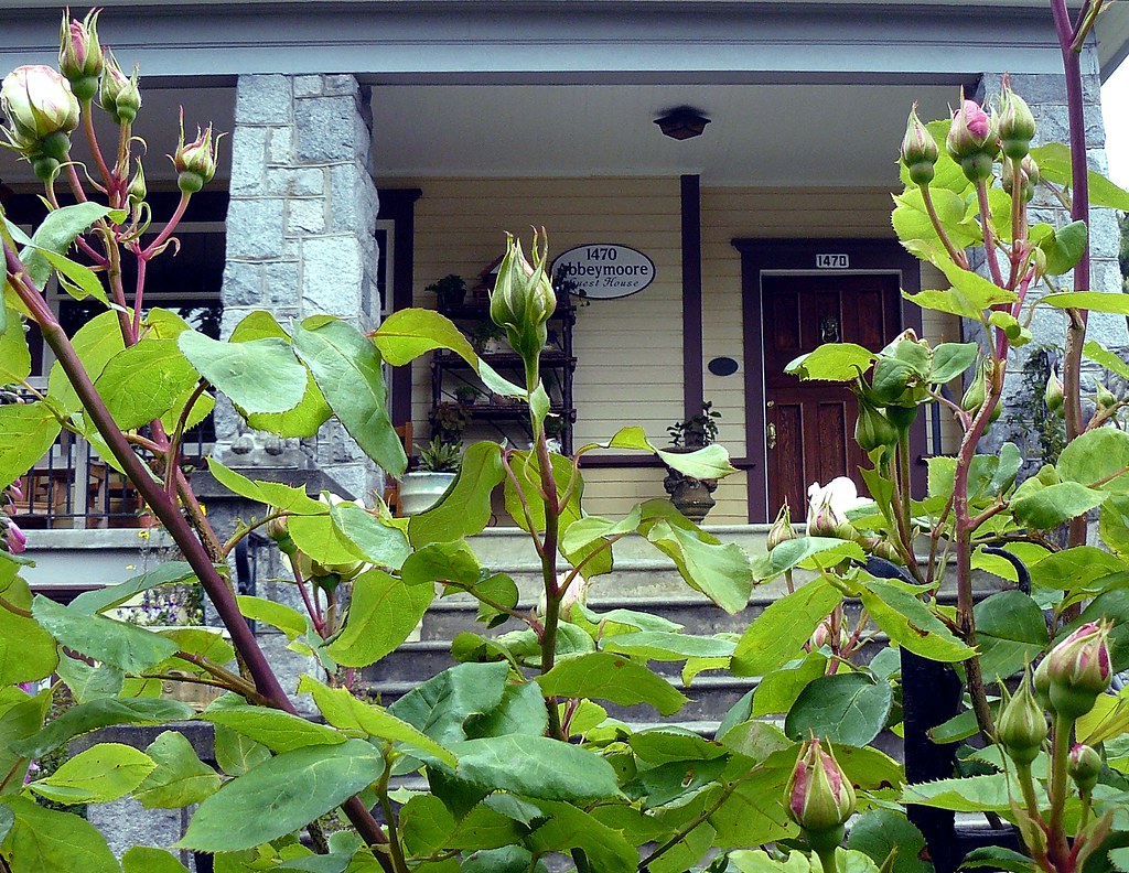 Abbeymore Guest House Pemberton Rd Beth Muise Flickr