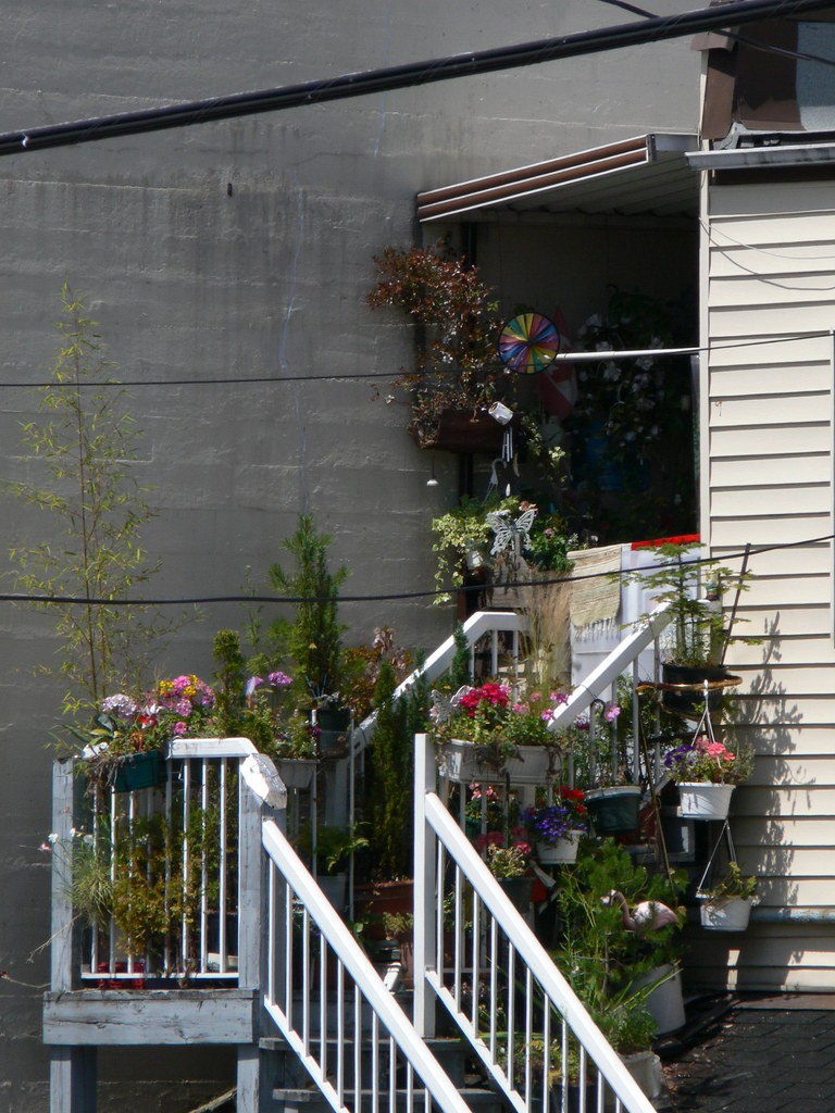 1240382 Balcony garden, Vancouver BC Hella Delicious Flickr