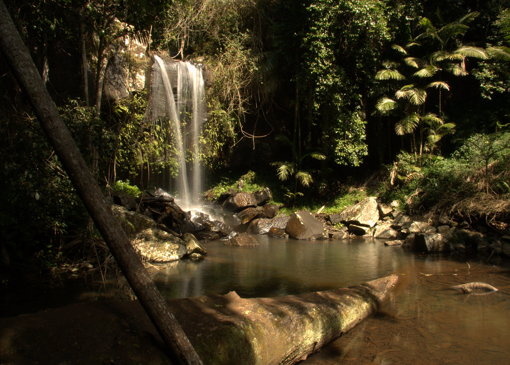 Cedar Creek fall A Sunday walk at Mount Tamborine National… Heidi