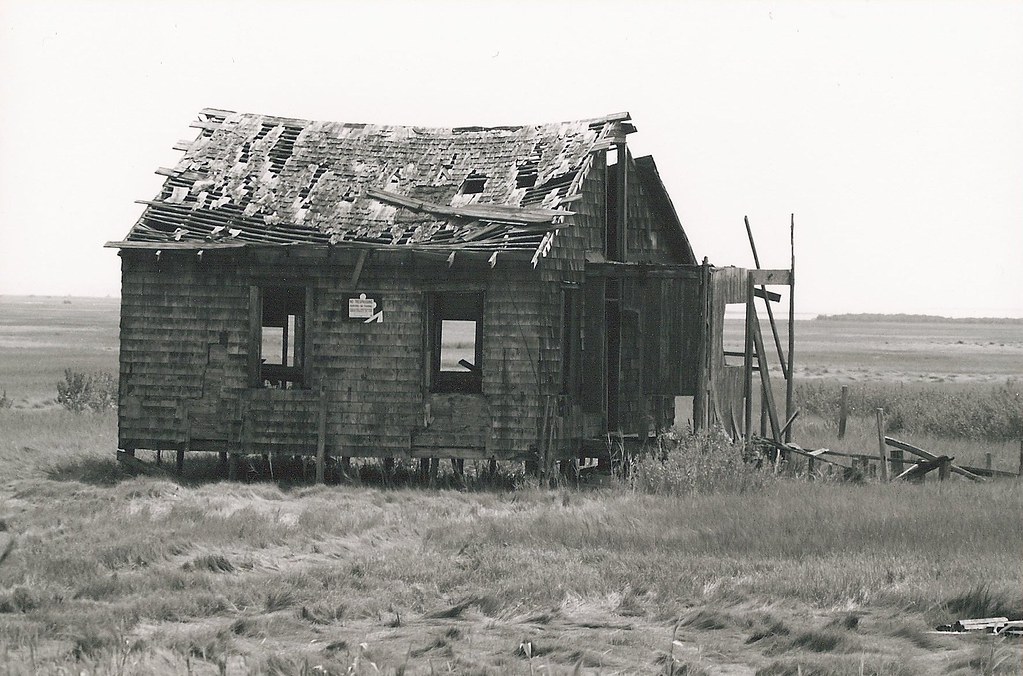 clam shack long beach island nj sezureoner Flickr