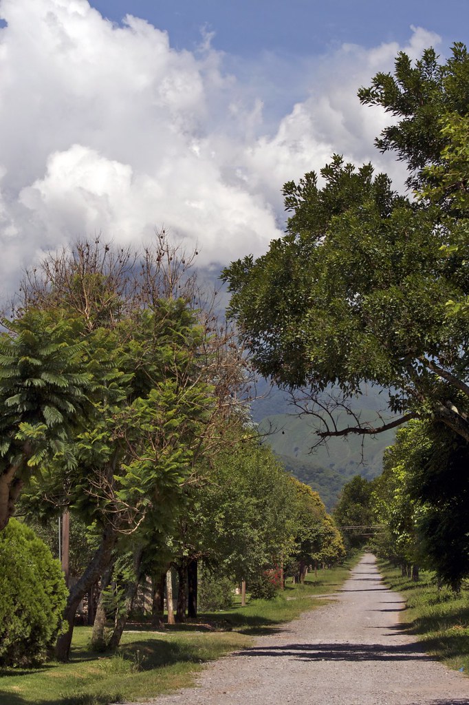 Campo Quijano (Salta) calle típica View On White and lar… Flickr