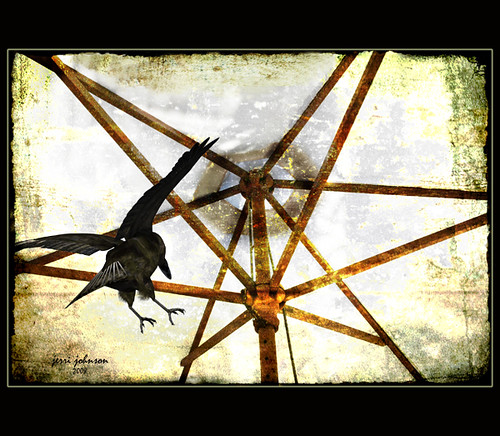 Only This and Nothing More | The Raven - 1845 - Edgar Allan … | Flickr