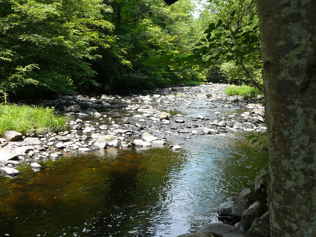 Quinapoxet River Scene The Quinapoxet is a small but pictu… Flickr