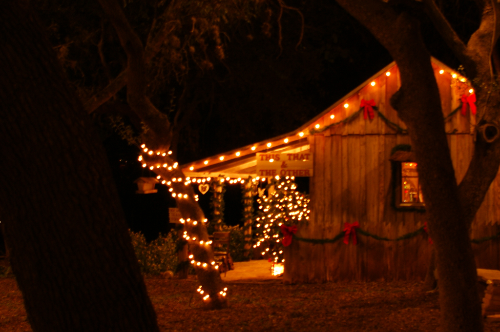 Bracken Village DSC02354 Tammy Flickr