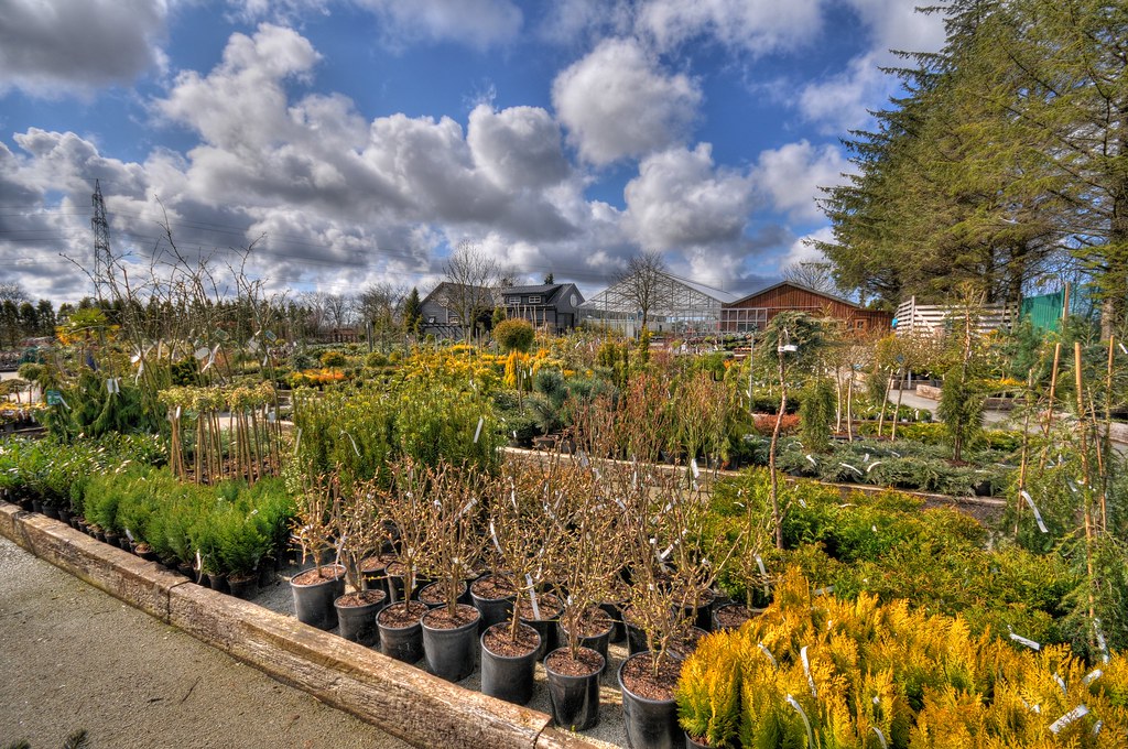 Hove garden center Rate my photo 1 2 3 4 5 6 7 8 9 10 Per Erik