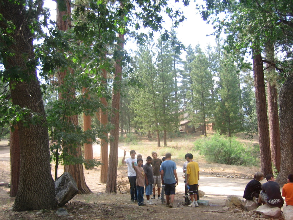 5+ Camp Arbolado For You