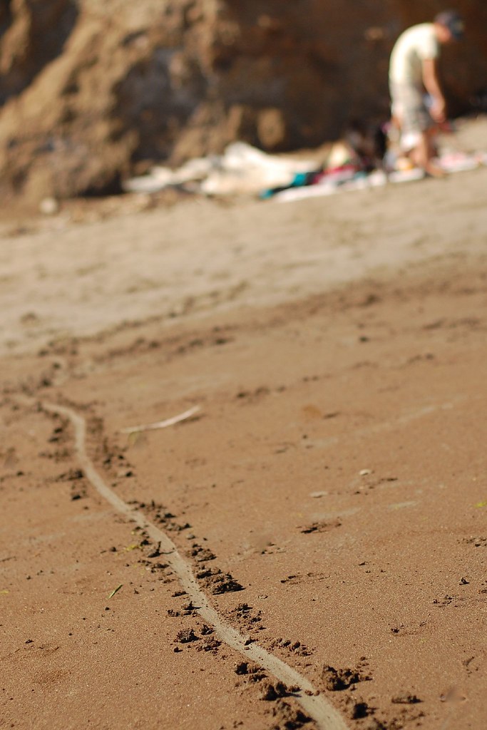 Line in the sand on the beach in Bolinas. Egan Snow Flickr