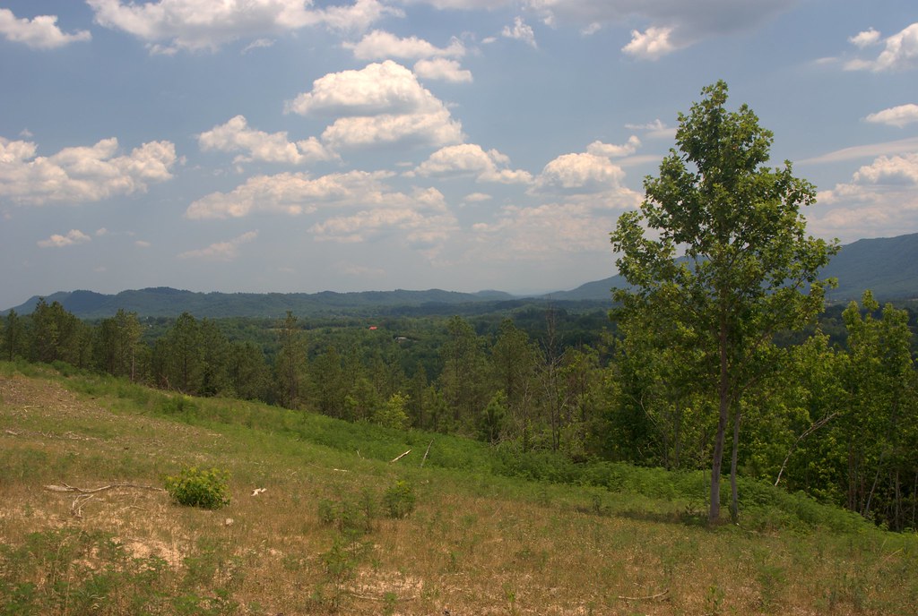 Etowah Properties The Etowah Properties,… Flickr