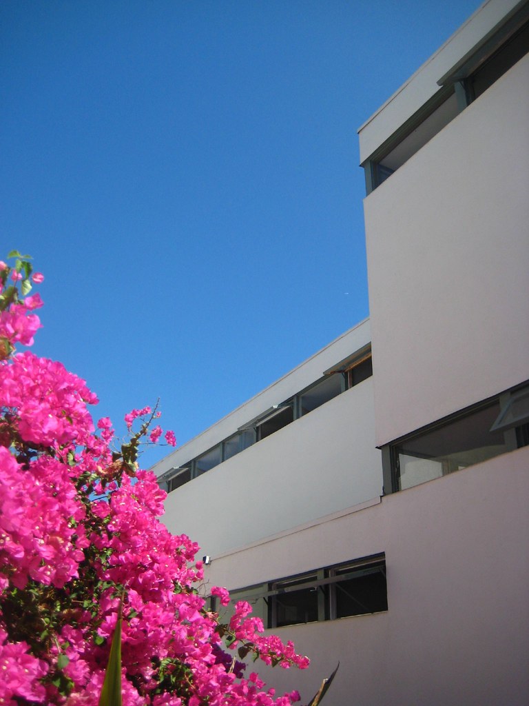 Gregory Ain, Dunsmuir Flats, 1937 Los Angeles Flickr