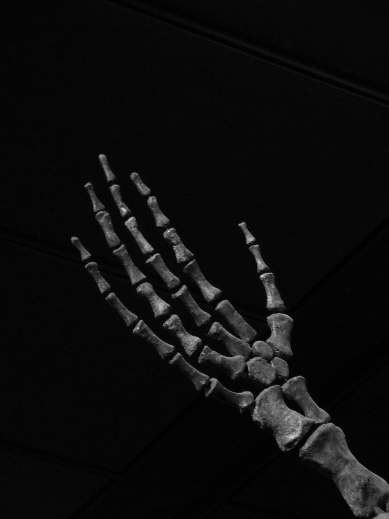 Thru Expensive XRay Specs I Michael Flickr