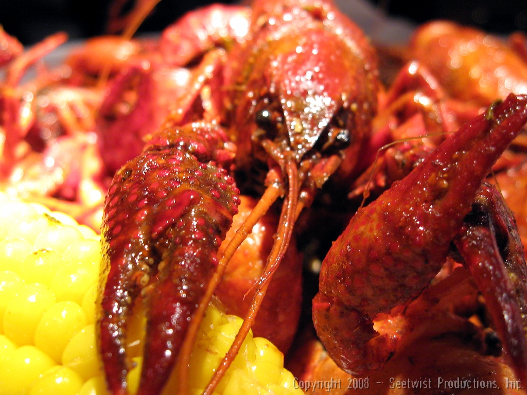 Food Porn Pappadeaux Seafood Restaurant Crawfish boil! Seetwist