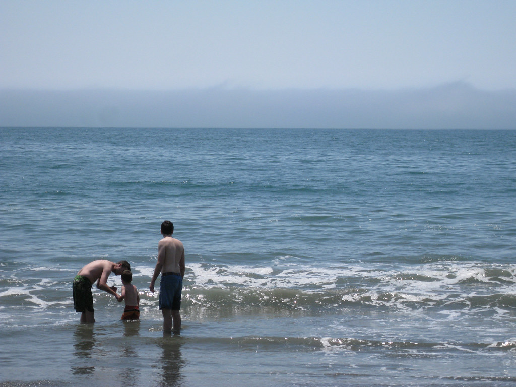 Bodega Bay July08 Flickr