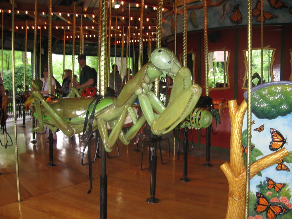Bug Carousel Bronx Zoo Kurt Wagner Flickr