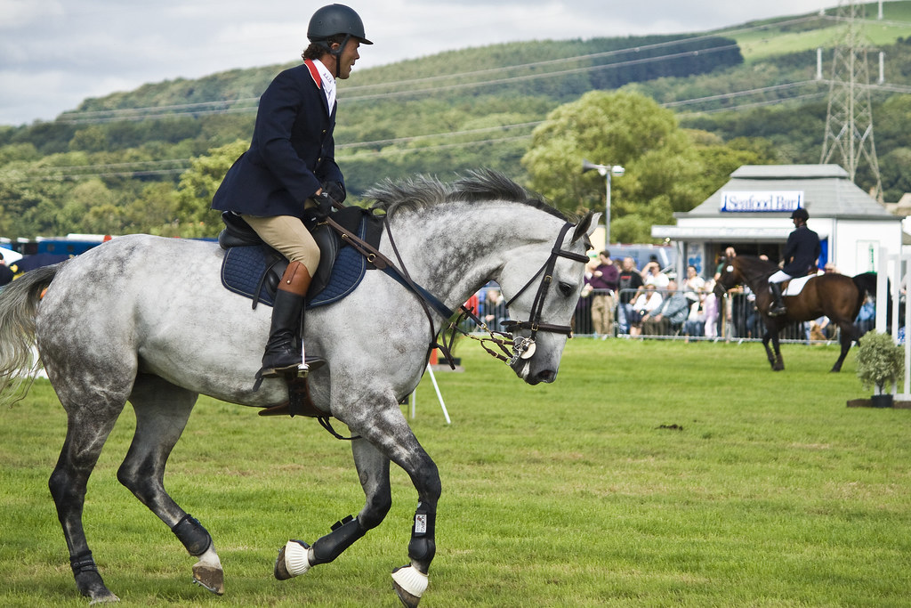 Garstang Horse Show dfrear Flickr