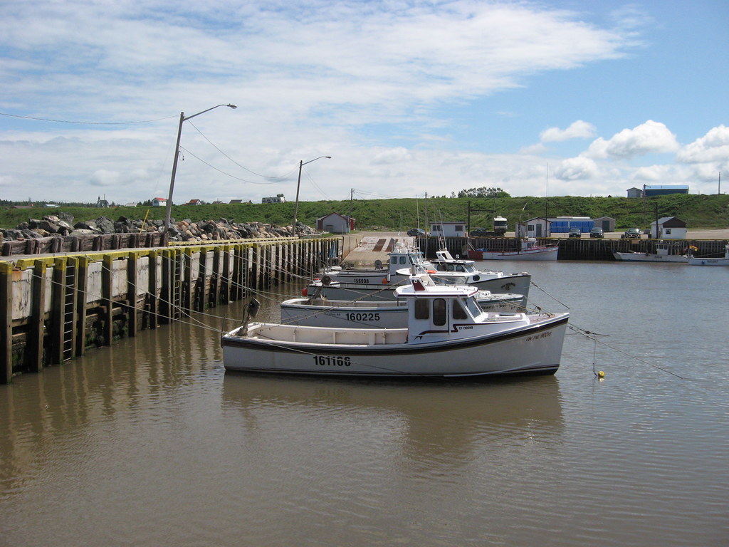 IMG_4821 Janeville NB. August 2008. Derek Blackadder Flickr