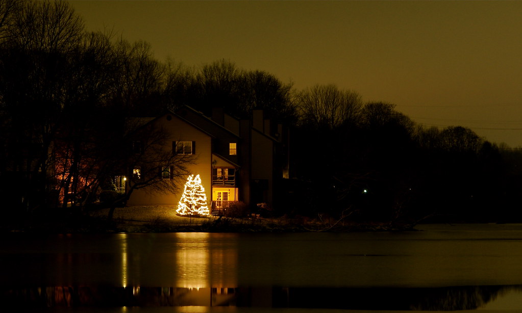 Lake Elkhorn Christmas I noticed this lone tree on the way… Flickr