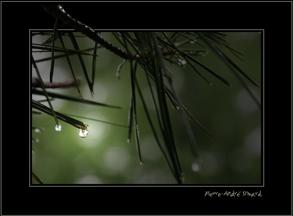 Elevation of Chemin de la Rivière, Chelsea, QC J9B 2L9, Canada