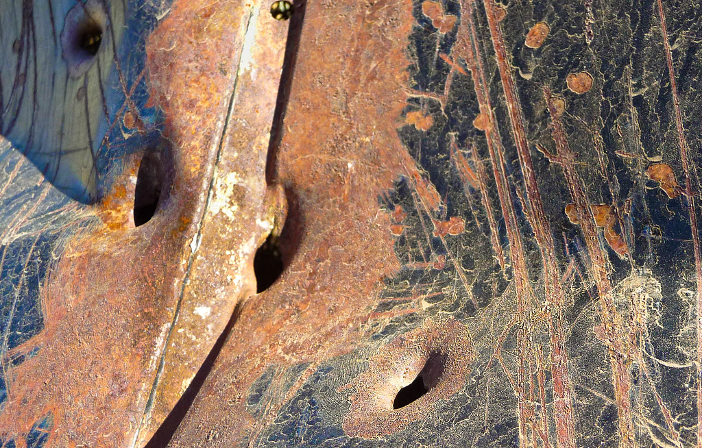 Klamath Falls Mountain Bike Trails Archery Bullet Ridd… Flickr