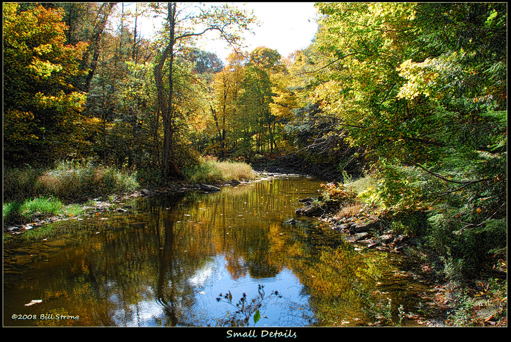 small details Twenty Mile Creek at Balls Falls Conservatio… Flickr