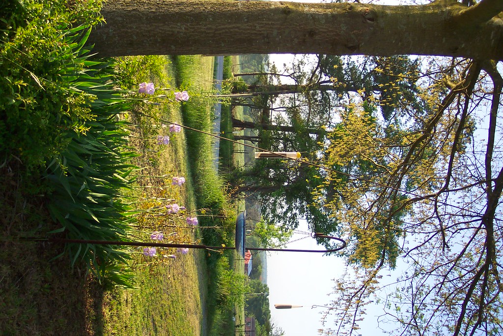 Fwd Spring in Holly Pond, Alabama Greetings to the Weathe… Flickr