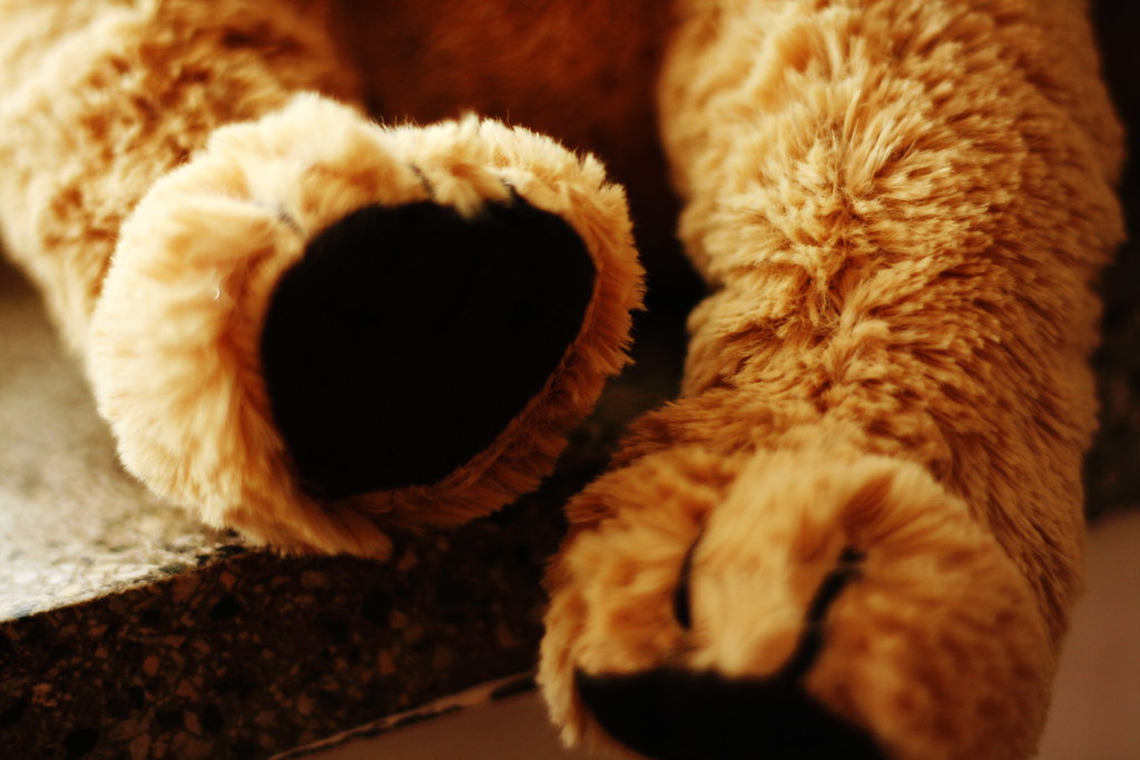 Teddy bear Whose are these tiny feet...? ) Anna Bednarikova Flickr