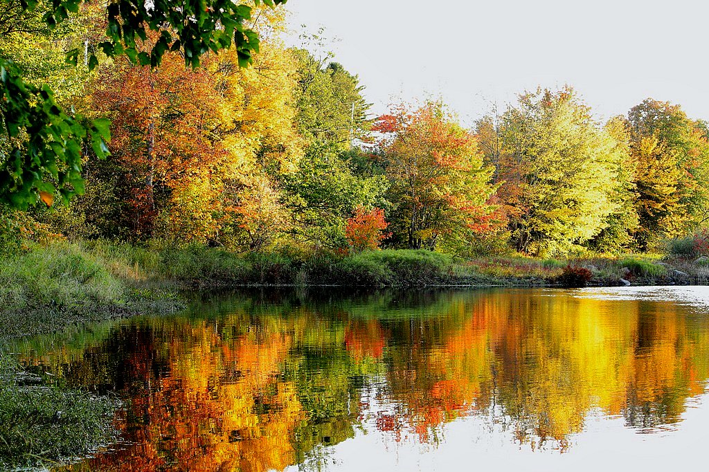 Lahave River Cookville, Nova Scotia A look at the left b… Flickr